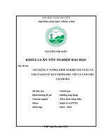 (TIỂU LUẬN) xây dựng ý tưởng khởi nghiệp sản xuất cà chua sạch từ quá trình học tập và làm việc tại israel  