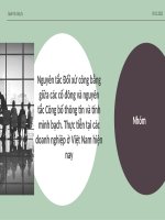 Slide thuyết trình nguyên tắc đối xử công bằng giữa các cổ đông và nguyên tắc công bố thông tin và minh bạch và thực tiễn tại các DN VIệt Nam