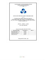 VẤN đề dân tộc TRONG THỜI kỳ QUÁ độ lên CHỦ NGHĨA xã hội  THỰC TRẠNG và GIẢI PHÁP bảo tồn, GIỮ gìn và PHÁT HUY DI sản văn HOÁ của ĐỒNG bào H’MÔNG ở VIỆT NAM 