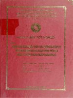 khóa luận tốt nghiệp đại học (16) 