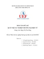 BÁO cáo GIỮA kì QUẢN TRỊ tác NGHIỆP THƯƠNG mại điện tử  đề tài phân tích tác nghiệp thương mại điện tử của BAEMIN 