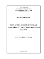 (LUẬN án TIẾN sĩ) PHÒNG NGỪA TÌNH HÌNH tội PHẠM TRONG LĨNH vực NGÂN HÀNG ở VIỆT NAM HIỆN NAY 