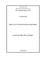 (LUẬN án TIẾN sĩ) pháp luật về góp vốn bằng nhãn hiệu 