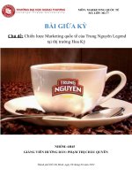 Chiến lược marketing quốc tế của trung nguyên legend tại thị trường hoa kỳ 