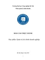 BÁO cáo THỰC HÀNH học phần quản trị tài chính doanh nghiệp 