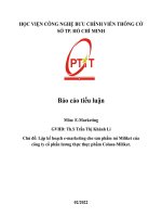 lap ke hoach e marketing cho san pham mi miliket cuacong ty co phan luong thuc thuc pham colusa miliket  0839 