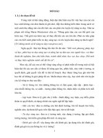 SKKN Sử dụng phương pháp dạy học phát hiện và giải quyết vấn đề hỗ trợ dạy họcBài tập hoá học thực tiễn chương halogen hoá học 10trung học phổ thông