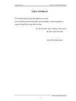 (Luận văn thạc sĩ) Điều khiển mờ trượt cho hệ bóng thanh