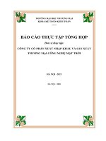 Báo cáo thực tập tại CÔNG TY cổ PHẦN XUẤT NHẬP KHẨU và sản XUẤT THƯƠNG mại CÔNG NGHỆ mặt TRỜI 