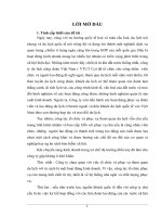 Thực trạng và một số giải pháp chủ yếu nhằm nâng cao hiệu quả kinh doanh du lịch quốc tế tại công ty du lịch và tư vấn đầu tư quốc tế