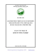 LUẬN văn THẠC sĩ HAY giải pháp phát triển sản xuất bưởi diễn theo hướng bền vững trên địa bàn huyện thanh sơn, tỉnh phú thọ​ 