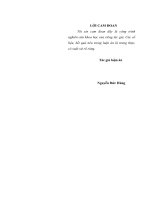 Năng lực sáng tạo của sĩ quan chỉ huy tham mưu cấp phân đội quân đội nhân dân việt nam hiện nay 