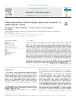 Online optimization of dynamic binding capacity and productivity by model predictive control