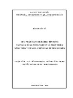 LUẬN văn THẠC sĩ HAY giải pháp hạn chế rủi ro tín dụng tại ngân hàng nông nghiệp và phát triển nông thôn việt nam   chi nhánh TP thái nguyên 