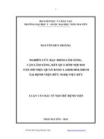 LUẬN văn THẠC sĩ HAY nghiên cứu đặc điểm lâm sàng cận lâm sàng, kết quả sớm nội soi tán sỏi niệu nằng laser holmium tại bệnh viện hữu nghị việt đức​ 