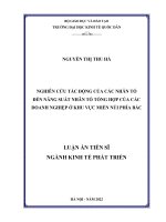 (LUẬN án TIẾN sĩ) nghiên cứu tác động của các nhân tố đến năng suất nhân tố tổng hợp của các doanh nghiệp ở khu vực miền núi phía bắc 