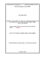 LUẬN văn THẠC sĩ HAY nghiên cứu đặc điểm cấu trúc của hệ sinh thái rừng núi đất theo đai cao tại khu bảo tồn thiên nhiên pù hu   thanh hóa​ 