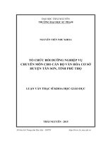 LUẬN văn THẠC sĩ HAY tổ chức bồi dưỡng nghiệp vụ chuyên môn cho cán bộ văn hóa cơ sở huyện tân sơn, tỉnh phú thọ 