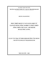 LUẬN văn THẠC sĩ HAY phát triển dịch vụ ngân hàng điện tử tại ngân hàng nông nghiệp và phát triển nông thôn việt nam   chi nhánh huyện phú lương 