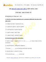 de kiem tra giua hoc ki 2 lop 11 mon tieng anh nam hoc 2022 