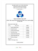BÁO cáo bài tập lớn đề tài thực trạng triển khai quy trình ERP của các doanh nghiệp tại việt nam 