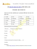 de thi giua hoc ki 2 mon anh lop 11 nam 2020 2021 so 1 