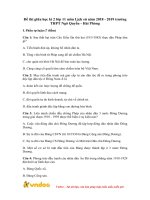 de thi giua hoc ki 2 lop 11 mon lich su truong thpt ngo quyen 