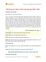 de thi hoc ki 1 lop 11 mon van nam hoc 2020 2021 de 7 