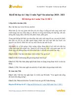 Bo de thi hoc ki 1 lop 11 mon ngu van nam hoc 2020 2021 