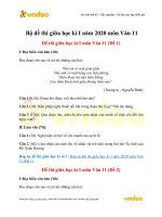 Bo de thi giua hoc ki i nam 2020 mon van 11 