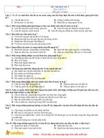 bo de thi hoc ki 2 lop 11 mon gdcd co dap an 1 