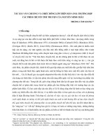 Tự nhiên, thân thể nữ giới và luân lý chở che cuộc đối thoại với tư tưởng nam quyền trong phim đập cánh giữa không trung 