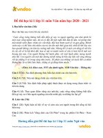 de thi hoc ki 1 lop 11 mon van nam hoc 2020 2021 de 8 