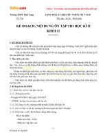 de cuong on thi hoc ki 2 mon ngu van lop 11 (1) 