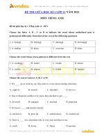 de thi giua hoc ki 1 lop 11 mon tieng anh nam 2022 