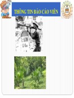 Quản lý hoạt động dạy học và phát triển chương trình giáo dục nhà trường Tiểu học