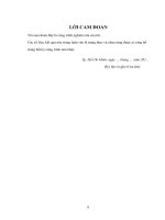 (Luân văn thạc sĩ) Ứng dụng thuật toán bộ lọc Kalman mở rộng trong điều khiển tốc độ động cơ đồng bộ nam châm vĩnh cữu không sử dụng cảm biến bằng công nghệ FPGA