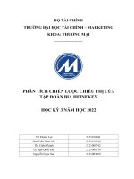 PHÂN TÍCH CHIẾN lược CHIÊU THỊ của tập đoàn BIA HEINEKEN 