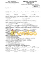 de khao sat chat luong dau nam lop 11 mon vat ly bac ninh 