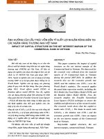 ẢNH HƯỞNG của cấu TRÚC vốn đến tỷ SUẤT lợi NHUẬN RÒNG BIÊN tại các NGÂN HÀNG THƯƠNG mại VIỆT NAM 