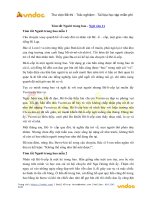 tom tat nguoi trong bao 