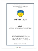 TIỂU LUẬN đề tài lễ CHÙA HATSUMODE tại NHẬT bản 