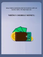 HOẠT ĐỘNG KINH DOANH NGÂN HÀNG  MOBILE MONEY cơ sở lý thuyết chung về mobile money cơ sở pháp lý của mobile money ở việt nam 