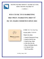 MADE COSMETICS SINCE 2021 REPORTFINAL