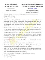 de kscl dau nam ngu van 11 nam 2019 2020 truong thpt lien son vinh phuc 