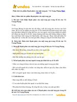 phan tich tac pham hanh phuc cua mot tang gia vu trong phung 