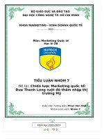 TIỂU LUẬN đề tài chiến lược marketing quốc tế đưa thanh long ruột đỏ thâm nhập thị trường mỹ 