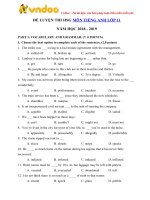 de thi hoc sinh gioi mon tieng anh lop 11 nam hoc 2018 2019 so 14 