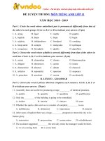 de thi hoc sinh gioi mon tieng anh lop 11 nam hoc 2018 2019 so 9 