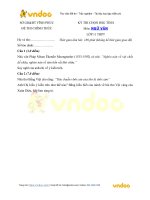 de thi hsg mon ngu van lop 11 tinh vinh phuc 